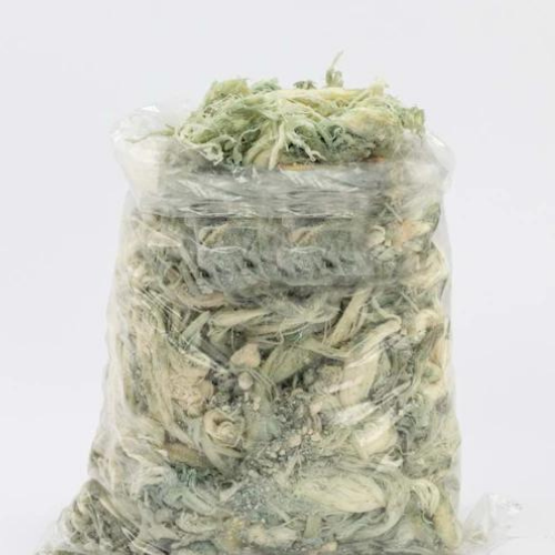 Yeşermiş Peynir ( Küflü ) - 1 KG